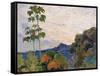 Martinique Landscape, 1887 (Detail)-Paul Gauguin-Framed Stretched Canvas