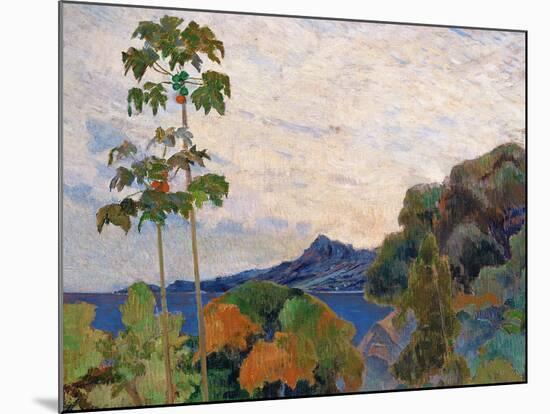 Martinique Landscape, 1887 (Detail)-Paul Gauguin-Mounted Giclee Print