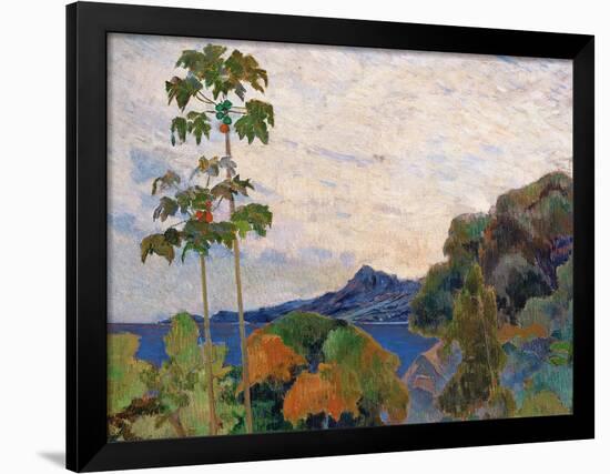 Martinique Landscape, 1887 (Detail)-Paul Gauguin-Framed Giclee Print