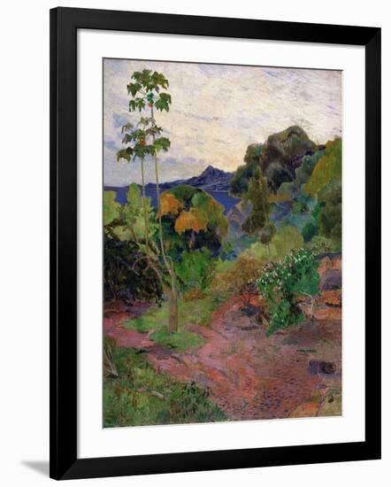 Martinique Landscape, 1887-Paul Gauguin-Framed Giclee Print