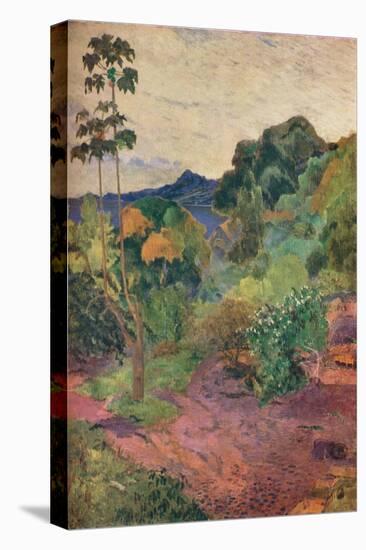 'Martinique Landscape', 1887-Paul Gauguin-Stretched Canvas