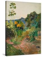 Martinique Landscape (Tropical Vegetation), 1887-Paul Gauguin-Stretched Canvas