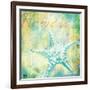 Martinique Shells IV-Paul Brent-Framed Art Print