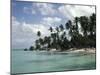 Martinique-null-Mounted Photographic Print