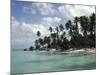 Martinique-null-Mounted Photographic Print