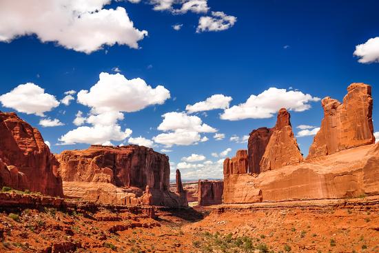 Premium Photographic Print, , large