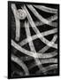 Gramercy Black