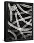 Essential Black