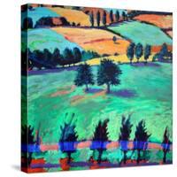 Martley, Worcestershire-Paul Powis-Stretched Canvas