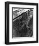 Marty Feldman-null-Framed Photo