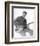 Marty Wilde-null-Framed Photo