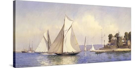 Stretched Canvas Print, , large
