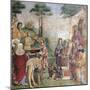 Martyrdom of Saint Cecilia-Amico Aspertini-Mounted Giclee Print