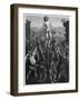 Martyrdom of St Sebastian, 1473-1475-Hotelin-Framed Giclee Print