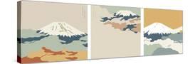Stretched Canvas