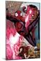 Marvel Adventures Spider-Man No.23: Spider-Man and M.O.D.O.K Fighting-Matteo Lolli-Mounted Poster