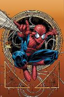 Marvel Adventures Spider-Man No.36 Cover: Spider-Man-David Nakayama-Lamina Framed Poster