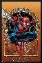 Marvel Adventures Spider-Man No.36 Cover: Spider-Man-David Nakayama-Lamina Framed Poster