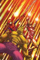 Marvel Adventures Super Heroes No.2 Cover: Hulk, Spider-Man and Iron Man-Roger Cruz-Lamina Framed Poster