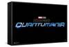 Marvel Ant-Man and the Wasp: Quantumania - Logo-Trends International-Framed Stretched Canvas