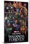 Marvel Black Panther: Wakanda Forever - Group-Trends International-Mounted Poster