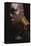 Marvel Black Panther: Wakanda Forever - Okoye One Sheet-Trends International-Framed Stretched Canvas