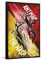 Marvel Cinematic Universe - Ant-Man and the Wasp - Duo-Trends International-Framed Poster
