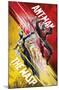 Marvel Cinematic Universe - Ant-Man and the Wasp - Duo-Trends International-Mounted Poster