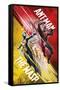 Marvel Cinematic Universe - Ant-Man and the Wasp - Duo-Trends International-Framed Stretched Canvas