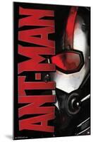 Marvel Cinematic Universe - Ant-Man - Helmet-Trends International-Mounted Poster