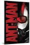 Marvel Cinematic Universe - Ant-Man - Helmet-Trends International-Mounted Poster