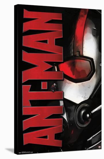 Marvel Cinematic Universe - Ant-Man - Helmet-Trends International-Stretched Canvas