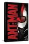 Marvel Cinematic Universe - Ant-Man - Helmet-Trends International-Framed Stretched Canvas