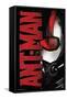 Marvel Cinematic Universe - Ant-Man - Helmet-Trends International-Framed Stretched Canvas