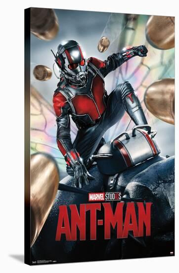Marvel Cinematic Universe - Ant-Man - One Sheet-Trends International-Stretched Canvas