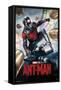 Marvel Cinematic Universe - Ant-Man - One Sheet-Trends International-Framed Stretched Canvas
