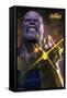Marvel Cinematic Universe - Avengers - Infinity War - Thanos-Trends International-Framed Stretched Canvas