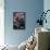 Marvel Cinematic Universe - Guardians of the Galaxy 2 - Group-Trends International-Framed Poster displayed on a wall