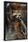 Marvel Cinematic Universe - Guardians of the Galaxy - Rocket Racoon-Trends International-Framed Poster