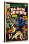 Marvel Comics - Black Panther - Cover #2-Trends International-Stretched Canvas