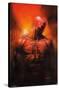 Marvel Comics - Daredevil - Shadowland: After the Fall Cover #1-Trends International-Stretched Canvas