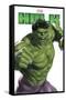 Marvel Comics - Hulk Feature Series-Trends International-Framed Stretched Canvas