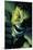 Marvel Comics - Hulk - Nightmerica #6-Trends International-Mounted Poster