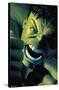 Marvel Comics - Hulk - Nightmerica #6-Trends International-Stretched Canvas