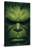 Marvel Comics - Hulk - The Immortal Hulk #18-Trends International-Stretched Canvas