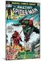 Marvel Comics Retro: The Amazing Spider-Man Comic Book Cover No.122, the Green Goblin's Last Stand!-null-Mounted Poster