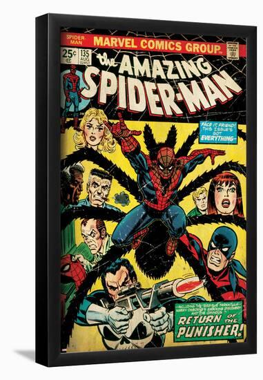 Marvel Comics Retro: The Amazing Spider-Man Comic Book Cover No.135, Return of the Punisher! (aged)-null-Framed Poster