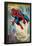 Marvel Comics Retro: The Amazing Spider-Man Comic Panel (aged)-null-Framed Poster