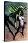 Marvel Comics - She-Hulk - She-Hulk #29-Trends International-Stretched Canvas