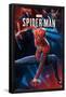 Marvel Comics - Spider-Man - Poses-Trends International-Framed Poster